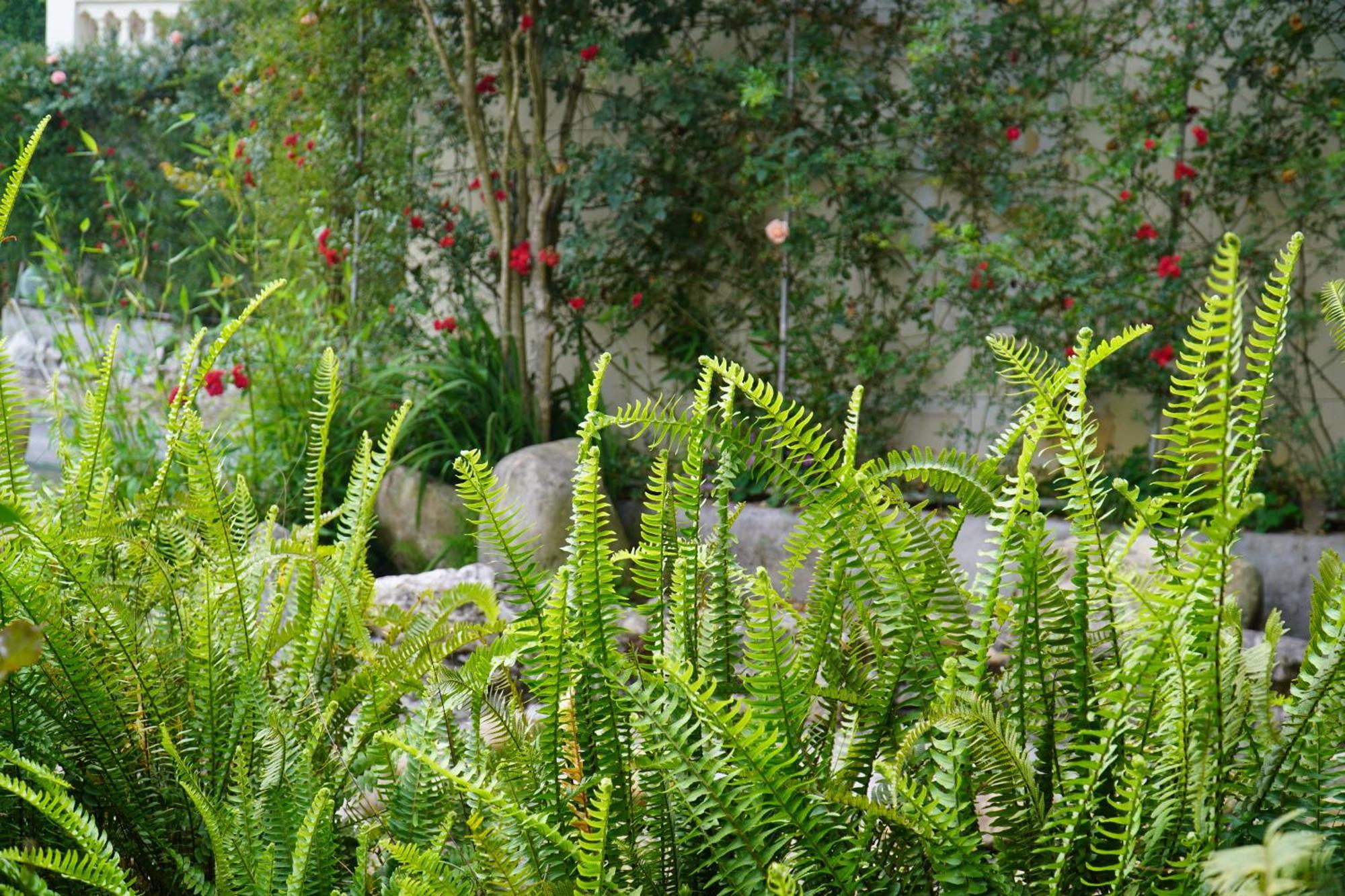 Sapa Highland Resort&Spa Exterior foto