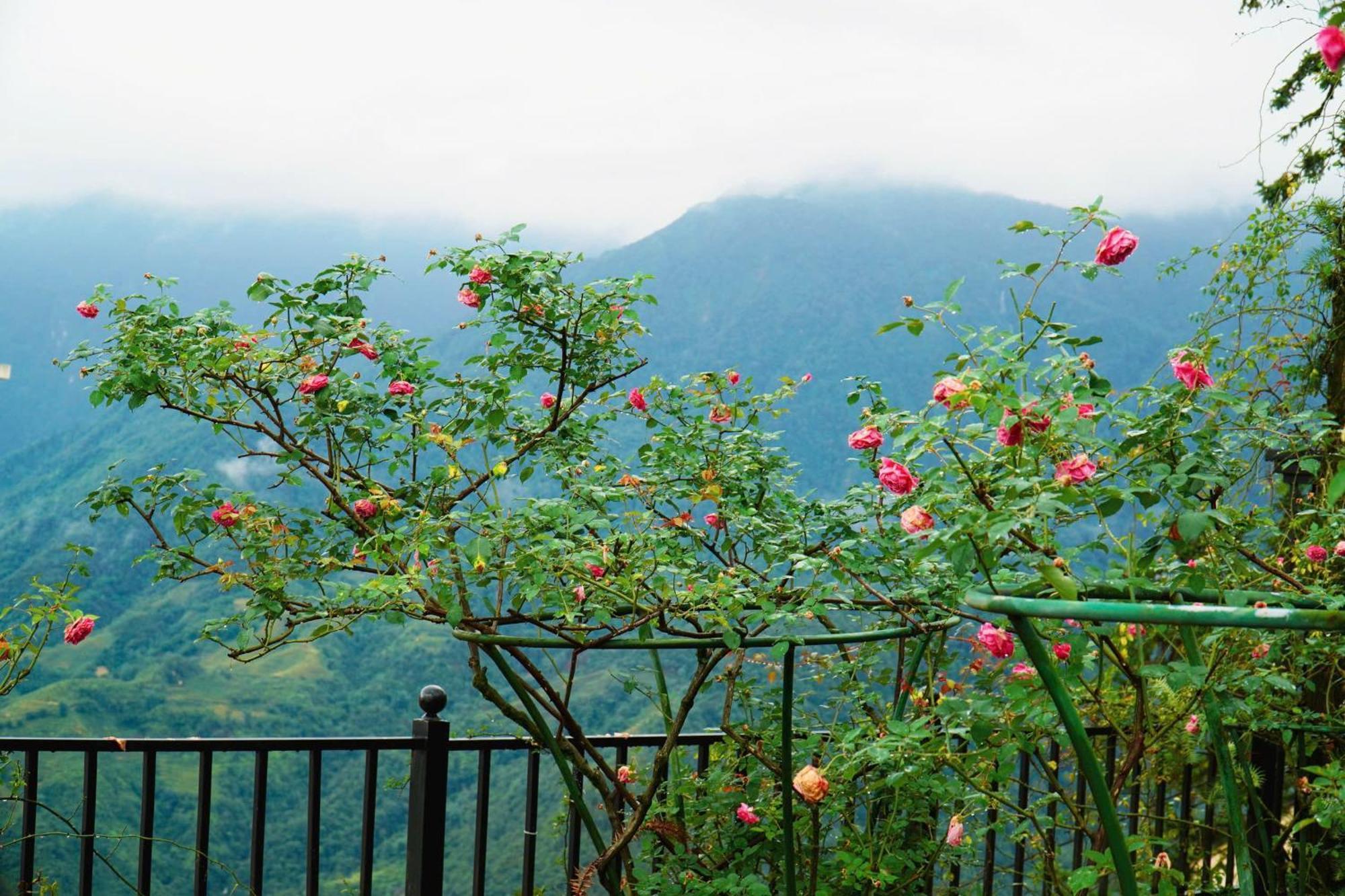 Sapa Highland Resort&Spa Exterior foto
